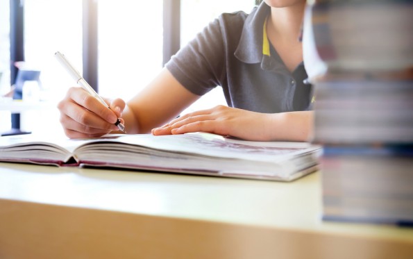 Fondo de Educación Formal Superior