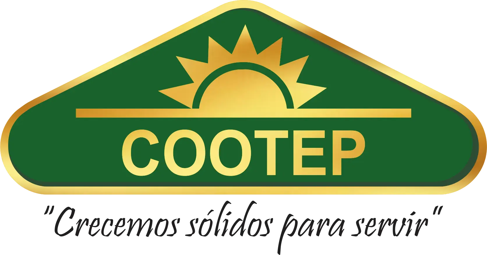 SitioWebCootep
